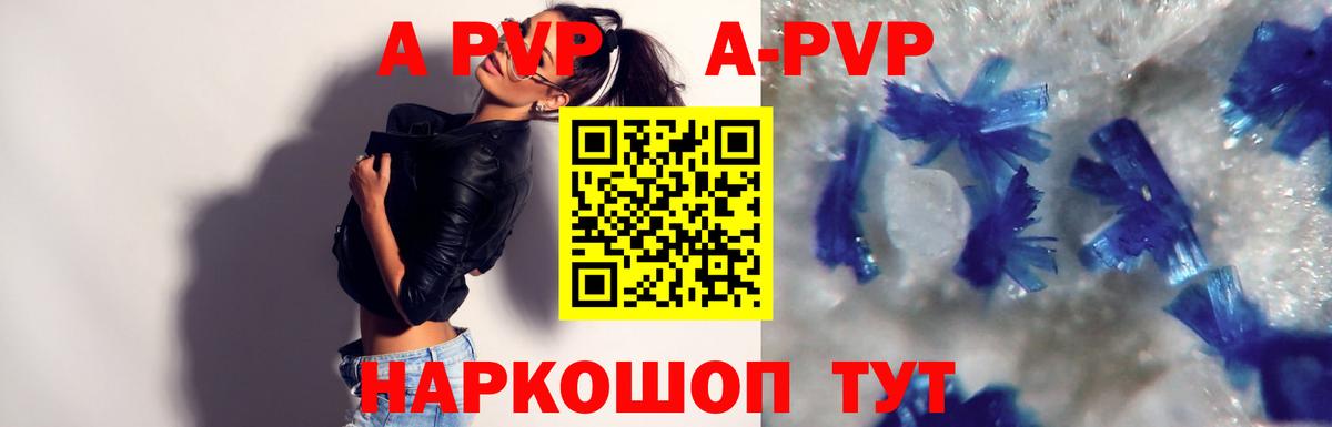 Альфа ПВП СК КРИС Керчь