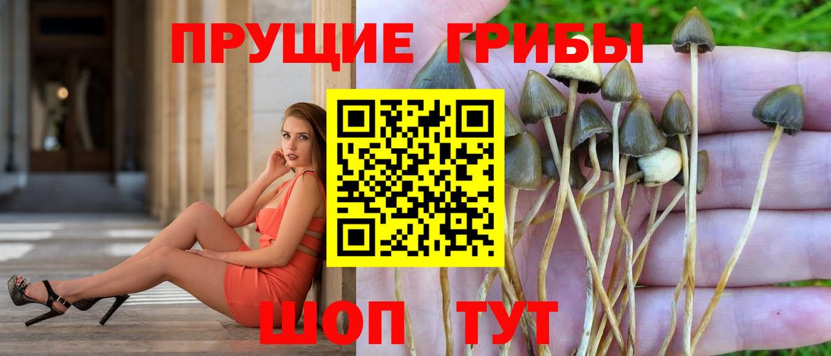 где продают   Вход с VPN  Керчь  Галлюциногенные грибы мухоморы 
